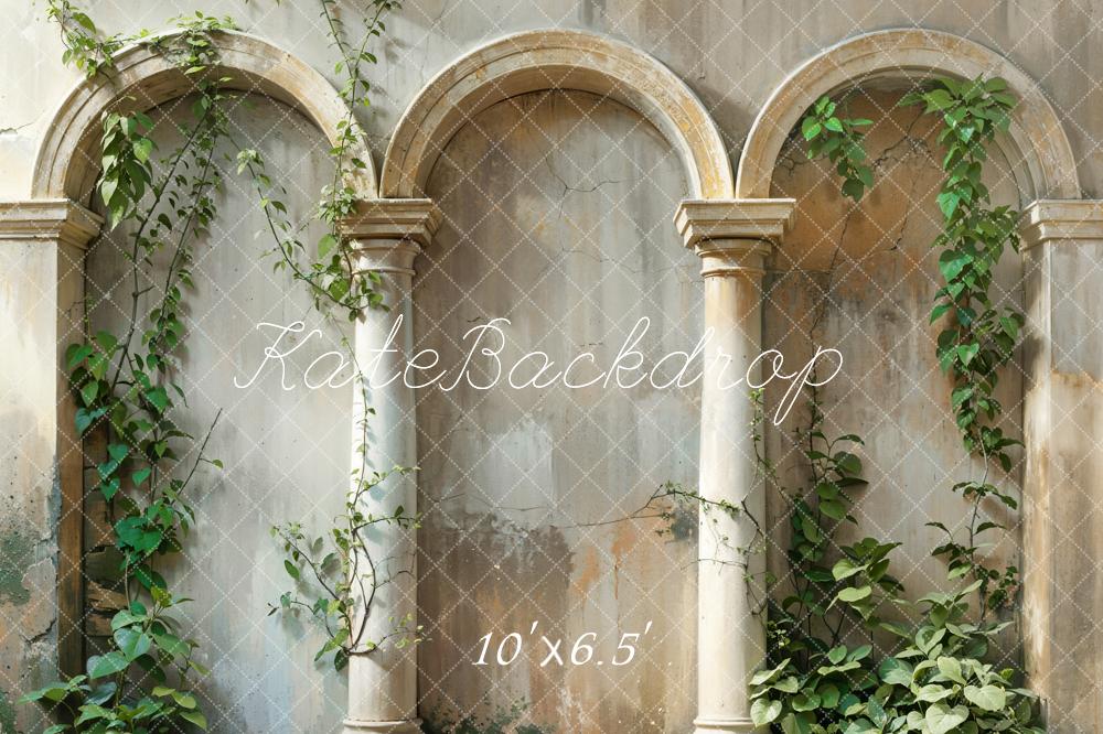 Kate Printemps Plante verte Beige Arche Mur Ancien Toile de fond conçue par Emetselch - Kate Backdrop FR