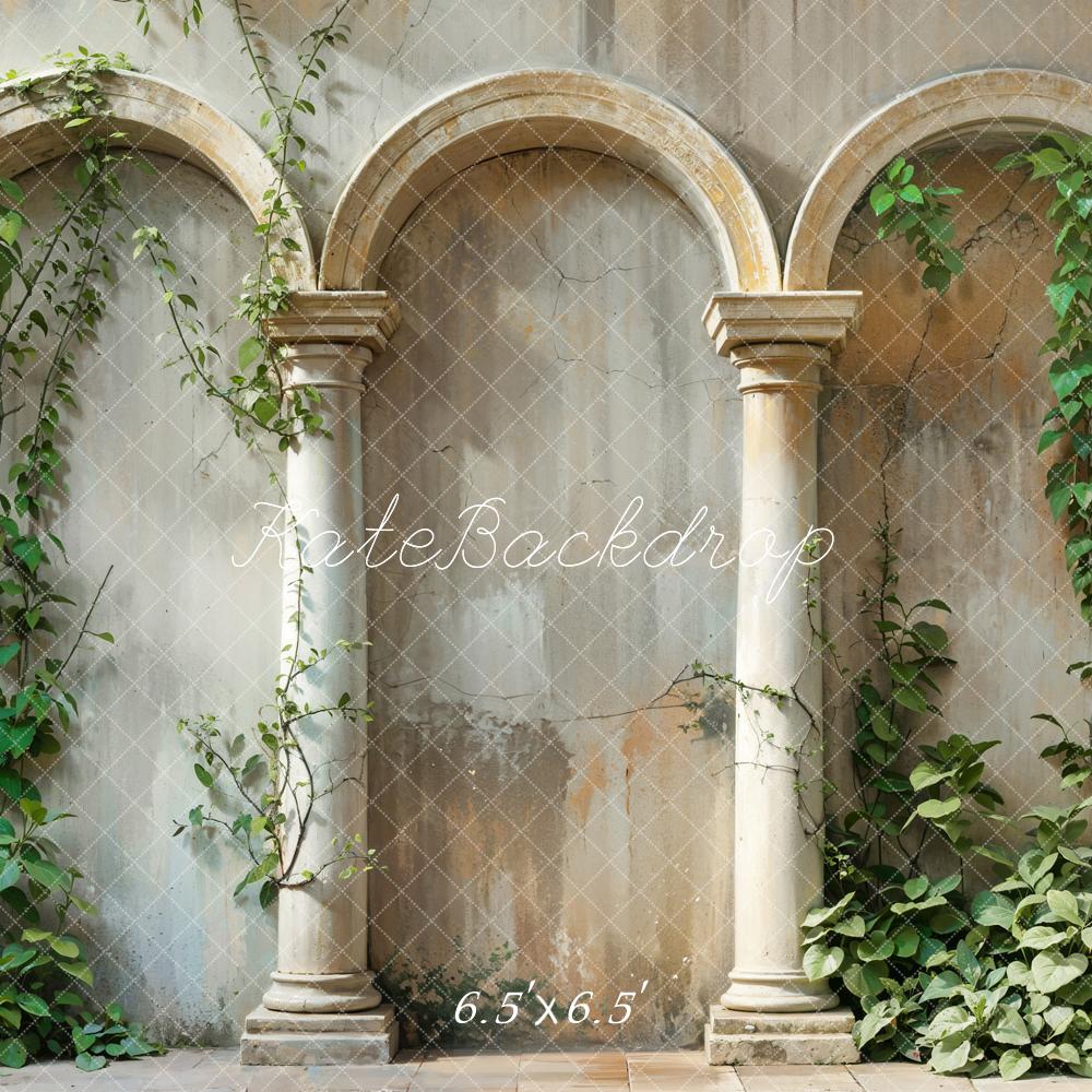 Kate Printemps Plante verte Beige Arche Mur Ancien Toile de fond conçue par Emetselch - Kate Backdrop FR