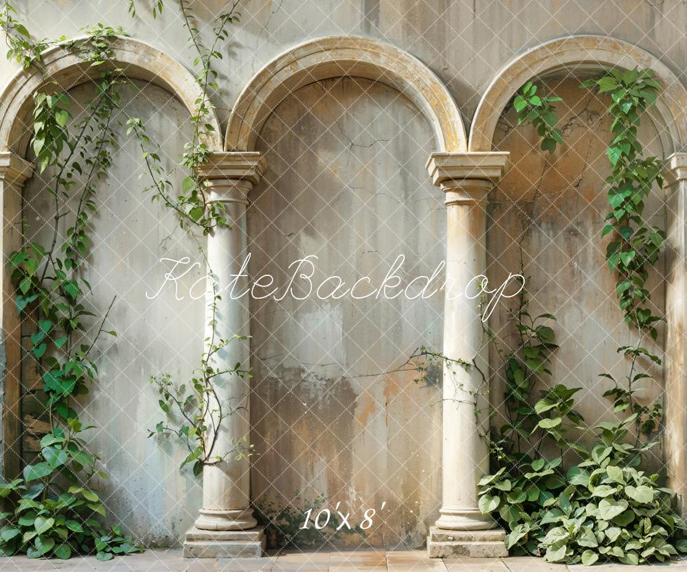 Kate Printemps Plante verte Beige Arche Mur Ancien Toile de fond conçue par Emetselch - Kate Backdrop FR