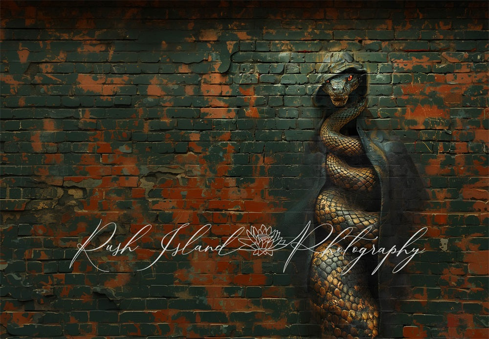 Kate Serpent à capuchon Mur de briques Graffiti Toile de fond conçue par Laura Bybee