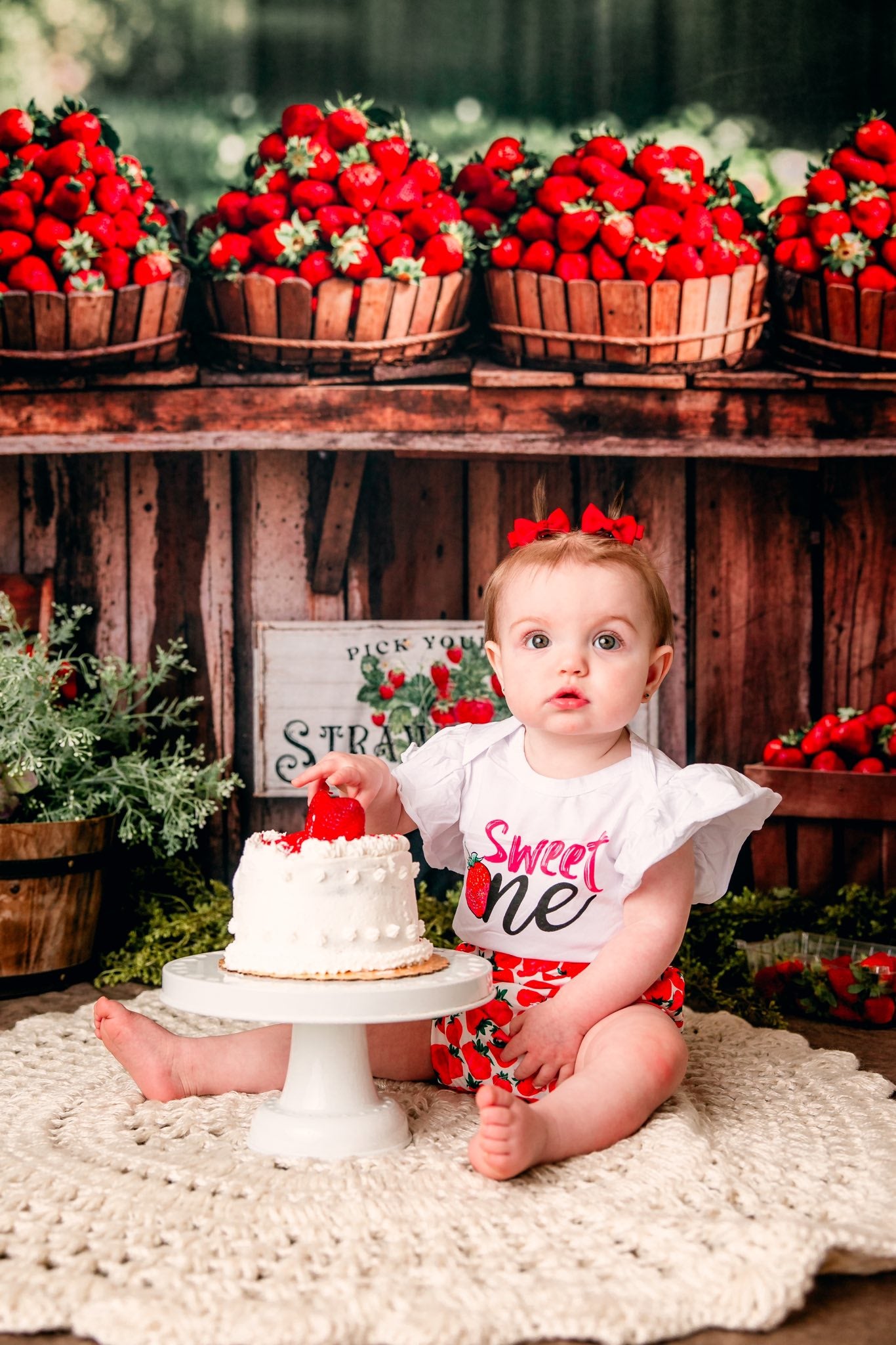 Kate Été Extérieur Forêt Stand de fraises Rouge Toile de fond conçue par Emetselch - Kate Backdrop FR