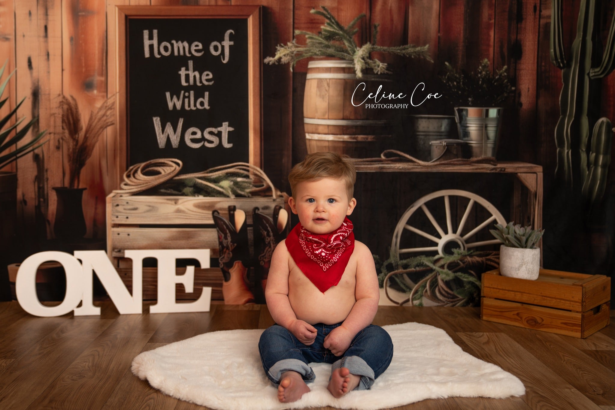 Kate Le Far West Cow-boy Cactus Mur en bois Toile de fond conçue par Patty Robert - Kate Backdrop FR