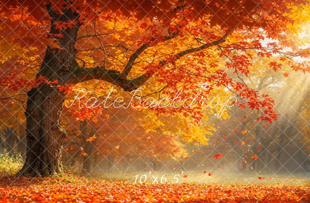 Kate Automne Feuille tombée Rouge Érable Toile de fond conçue par Emetselch - Kate Backdrop FR