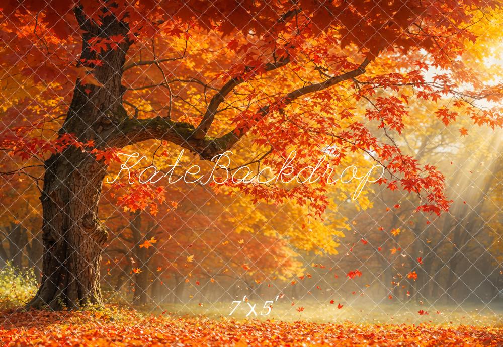 Kate Automne Feuille tombée Rouge Érable Toile de fond conçue par Emetselch - Kate Backdrop FR