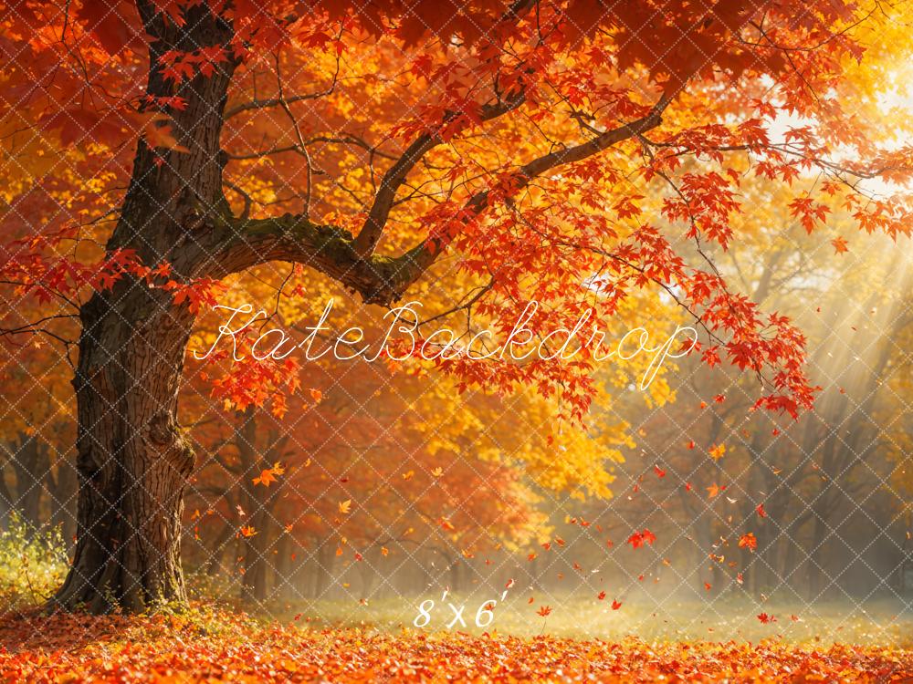 Kate Automne Feuille tombée Rouge Érable Toile de fond conçue par Emetselch - Kate Backdrop FR