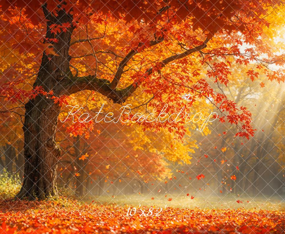 Kate Automne Feuille tombée Rouge Érable Toile de fond conçue par Emetselch - Kate Backdrop FR
