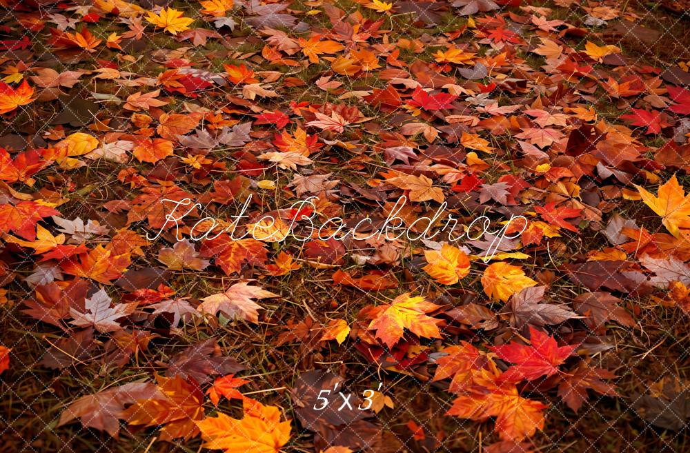 Kate Automne Forêt Feuille d'érable Rouge Sol Toile de fond conçue par Kate Image - Kate Backdrop FR