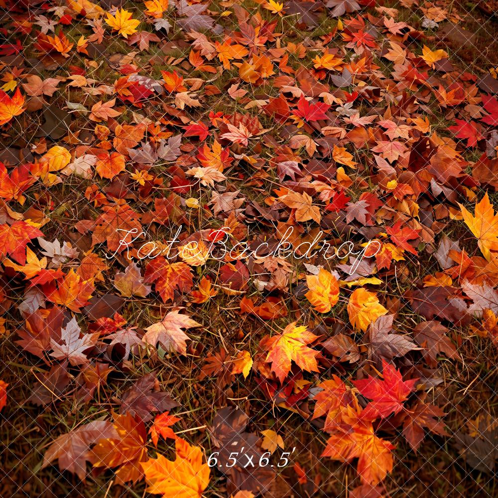 Kate Automne Forêt Feuille d'érable Rouge Sol Toile de fond conçue par Kate Image - Kate Backdrop FR