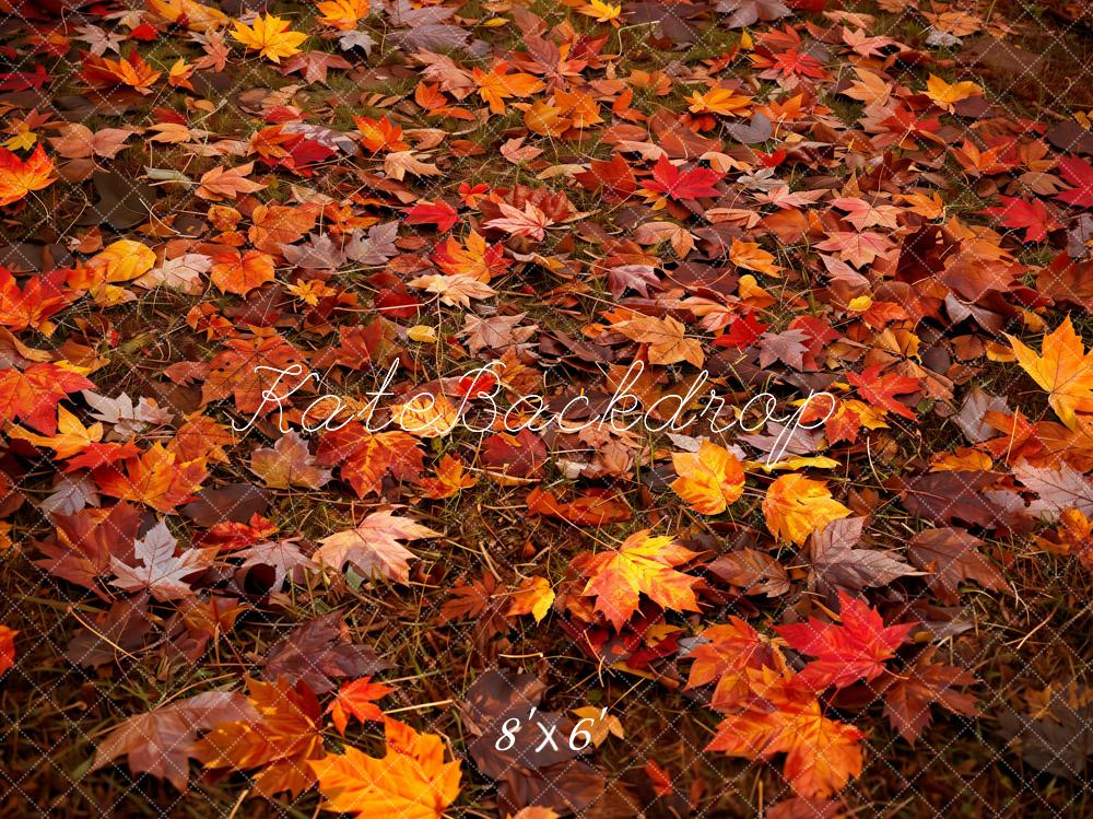Kate Automne Forêt Feuille d'érable Rouge Sol Toile de fond conçue par Kate Image - Kate Backdrop FR