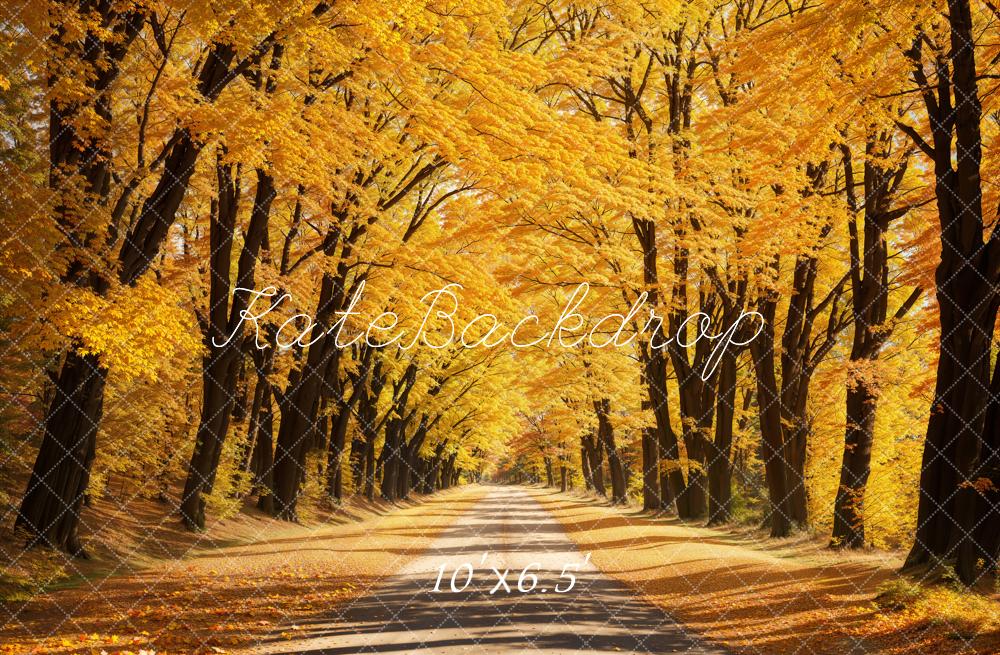 Kate Automne Extérieur Jaune Feuilles tombées Route Toile de fond conçue par Emetselch - Kate Backdrop FR