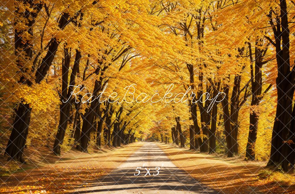Kate Automne Extérieur Jaune Feuilles tombées Route Toile de fond conçue par Emetselch - Kate Backdrop FR