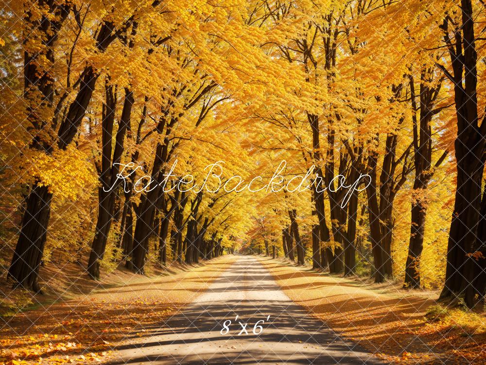 Kate Automne Extérieur Jaune Feuilles tombées Route Toile de fond conçue par Emetselch - Kate Backdrop FR