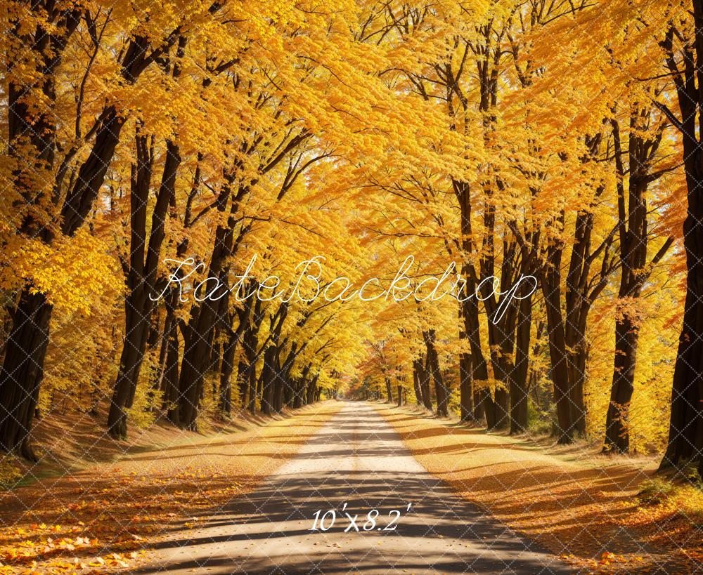 Kate Automne Extérieur Jaune Feuilles tombées Route Toile de fond conçue par Emetselch - Kate Backdrop FR