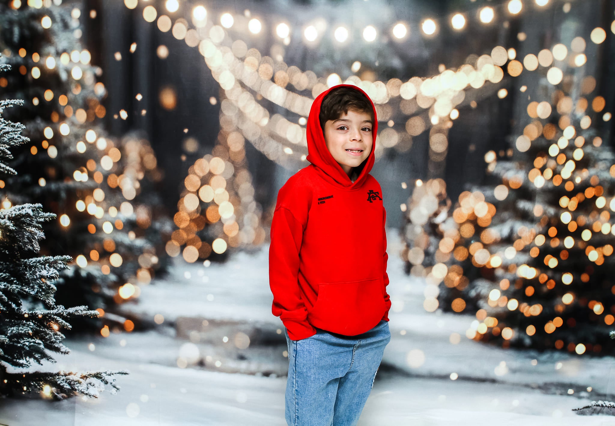 Offres Éclair-Kate Hiver Noël Extérieur Forêt Neige Lumière Toile de fond conçue par Emetselch - Kate Backdrop FR