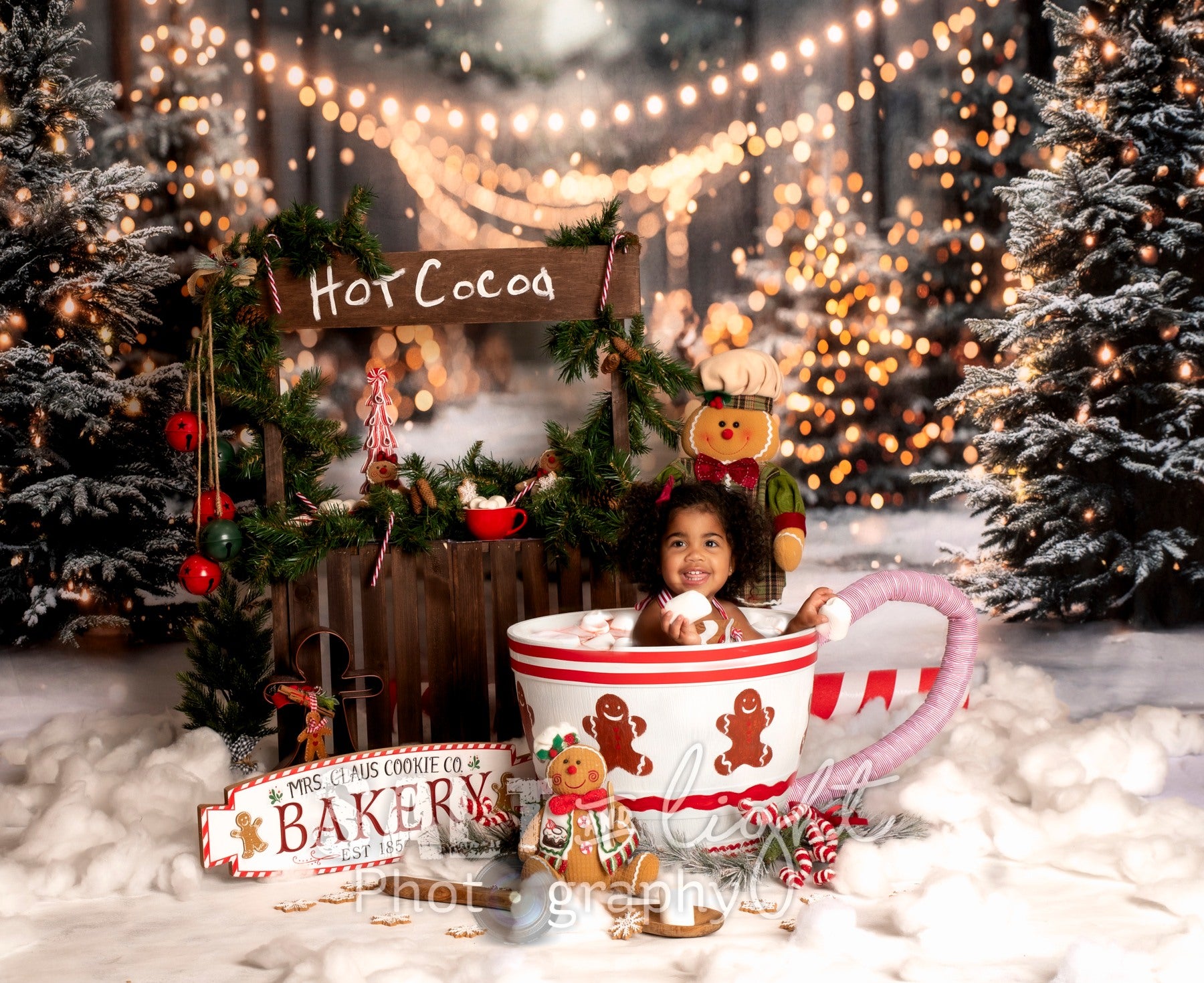 Offres Éclair #4 Kate Hiver Noël Extérieur Forêt Neige Lumière Toile de fond conçue par Emetselch - Kate Backdrop FR