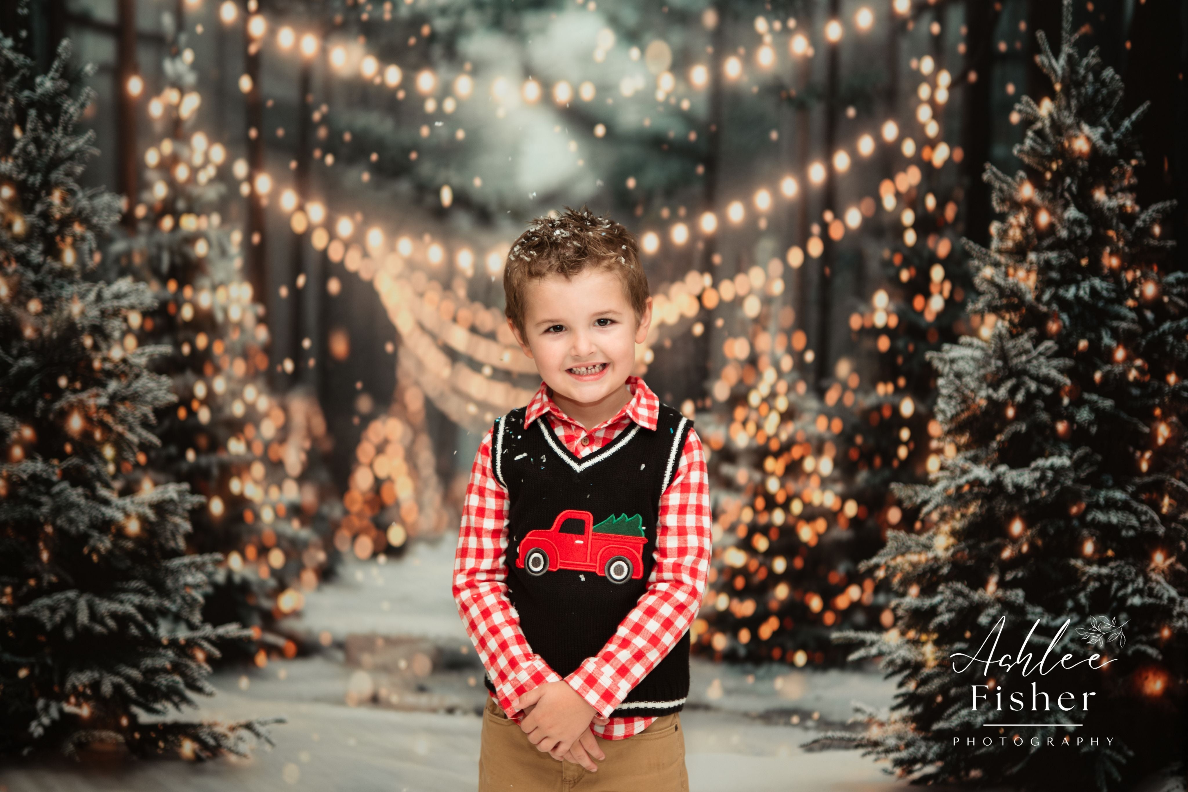 Kate Hiver Noël Extérieur Forêt Neige Lumière Toile de fond conçue par Emetselch - Kate Backdrop FR