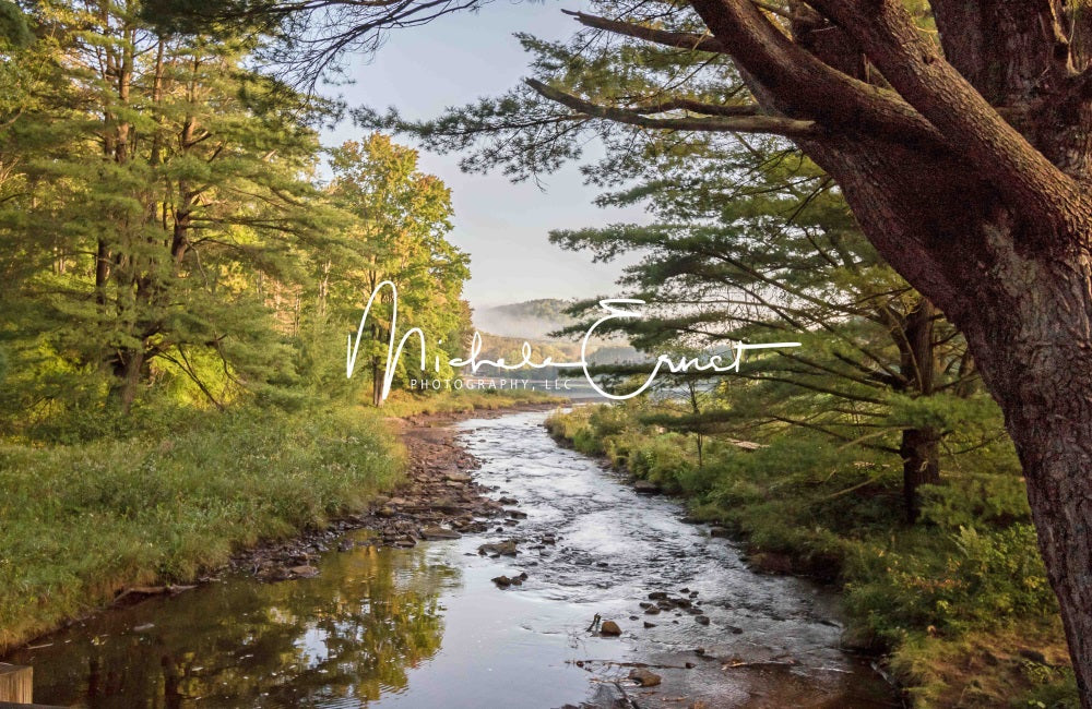 Kate Bord du lac Brouillard Arrbes Toile de fond conçue par Michele Ernst Photographie - Kate Backdrop FR