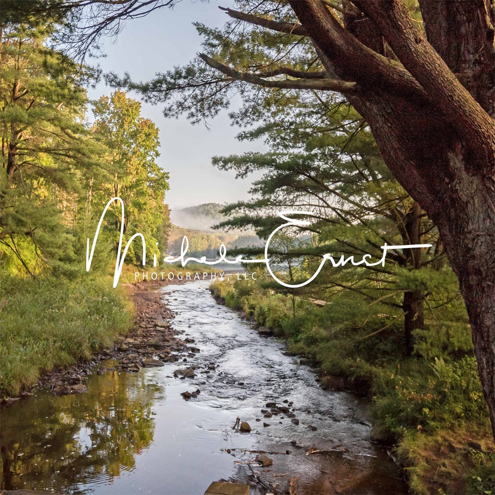 Kate Bord du lac Brouillard Arrbes Toile de fond conçue par Michele Ernst Photographie - Kate Backdrop FR