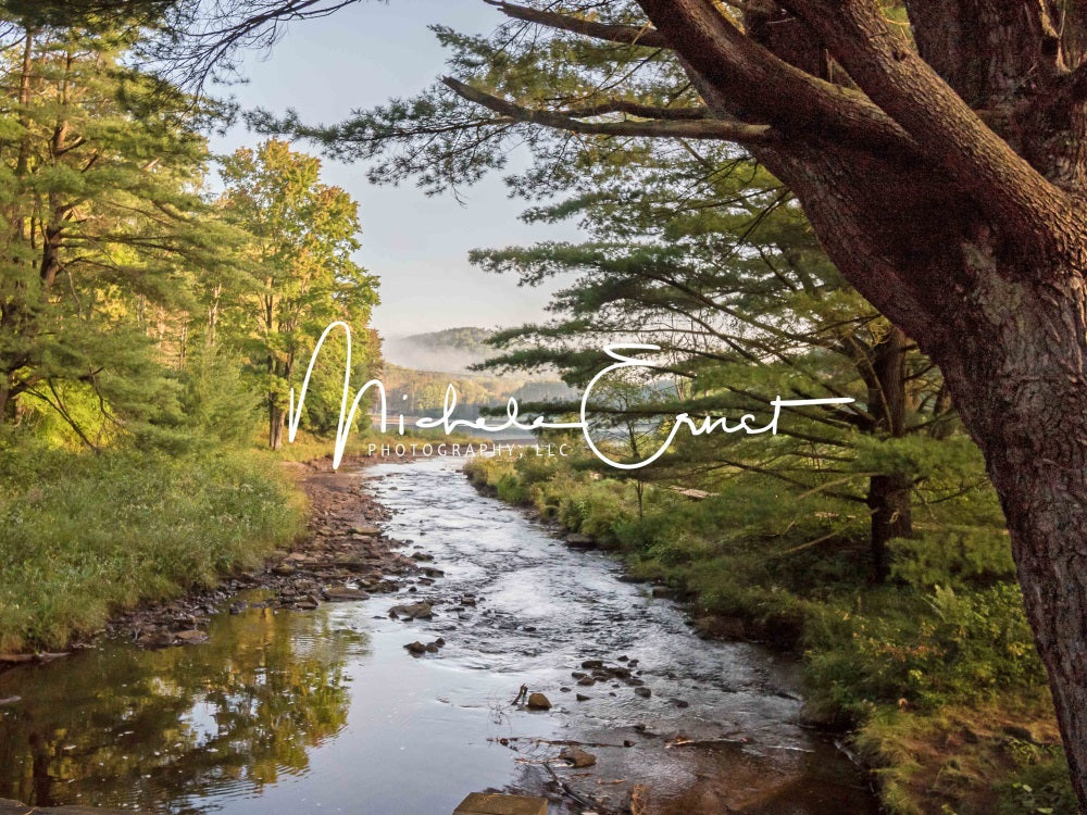 Kate Bord du lac Brouillard Arrbes Toile de fond conçue par Michele Ernst Photographie - Kate Backdrop FR