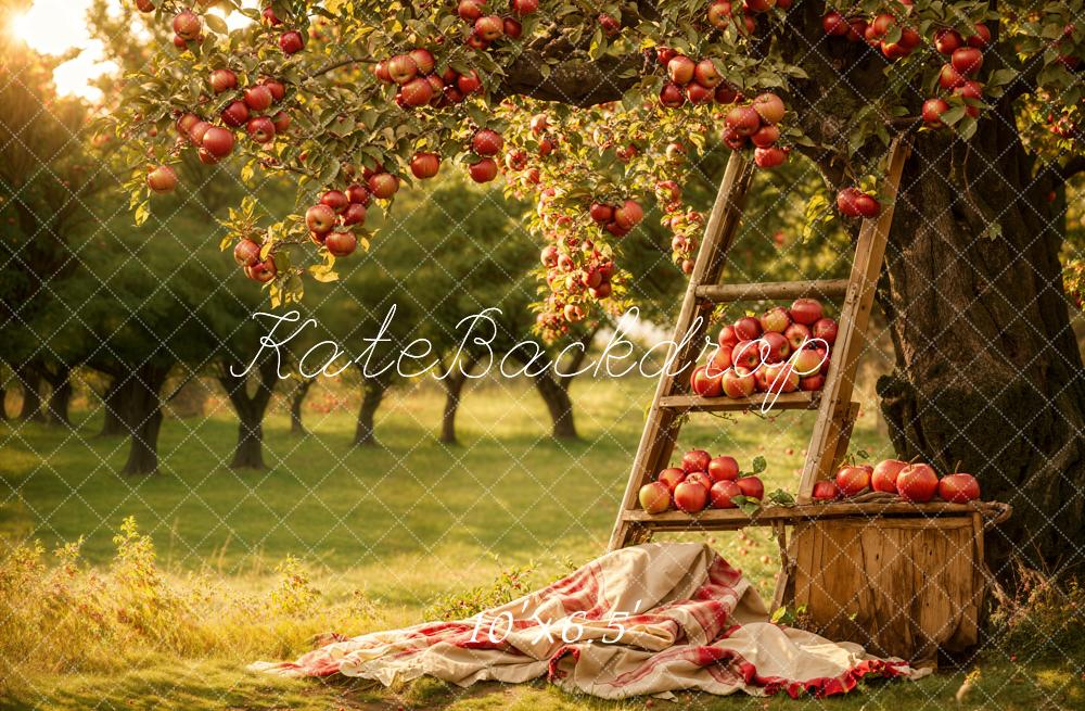 GROUPE VIP - Kate Automne Extérieur Forêt Verger de pommiers Toile de fond conçue par Emetselch - Kate Backdrop FR
