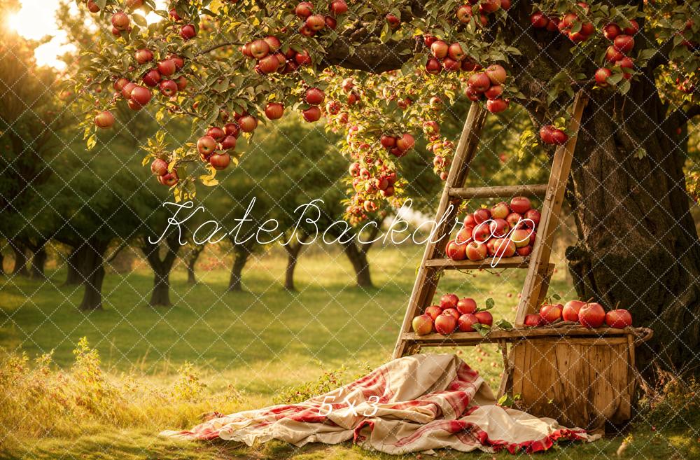 GROUPE VIP - Kate Automne Extérieur Forêt Verger de pommiers Toile de fond conçue par Emetselch - Kate Backdrop FR