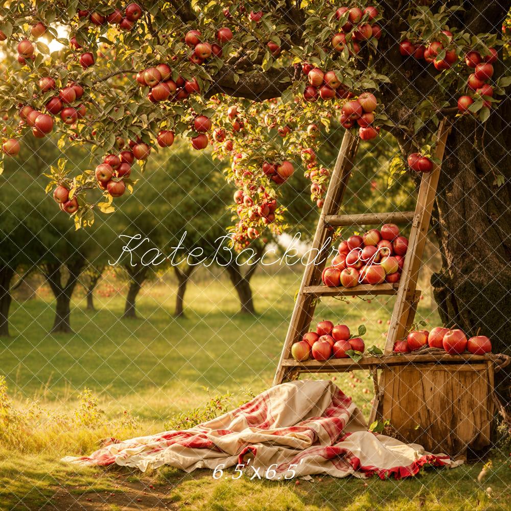 GROUPE VIP - Kate Automne Extérieur Forêt Verger de pommiers Toile de fond conçue par Emetselch - Kate Backdrop FR
