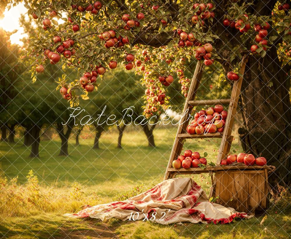 GROUPE VIP - Kate Automne Extérieur Forêt Verger de pommiers Toile de fond conçue par Emetselch - Kate Backdrop FR
