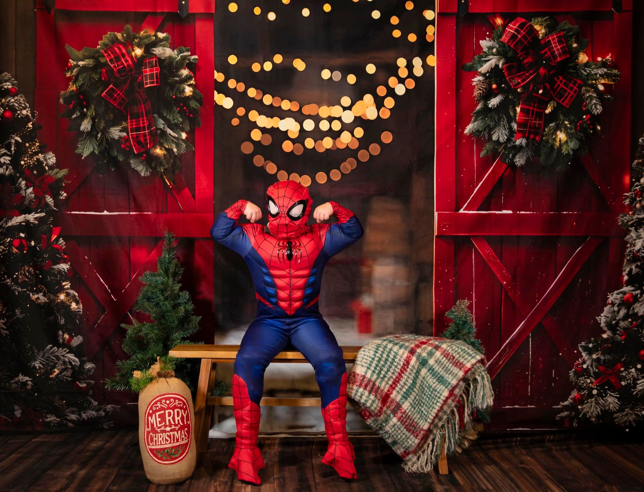 Kate Noël Nuit Rouge Porte de grange Neige Toile de fond conçue par Emetselch - Kate Backdrop FR