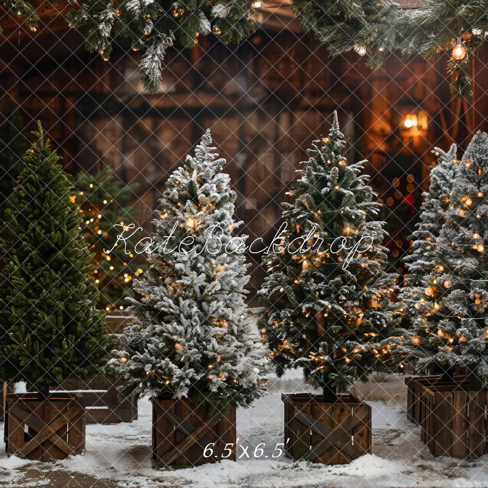 Kate Sapin de Noël Magasin Lumière Toile de fond conçue par Emetselch - Kate Backdrop FR