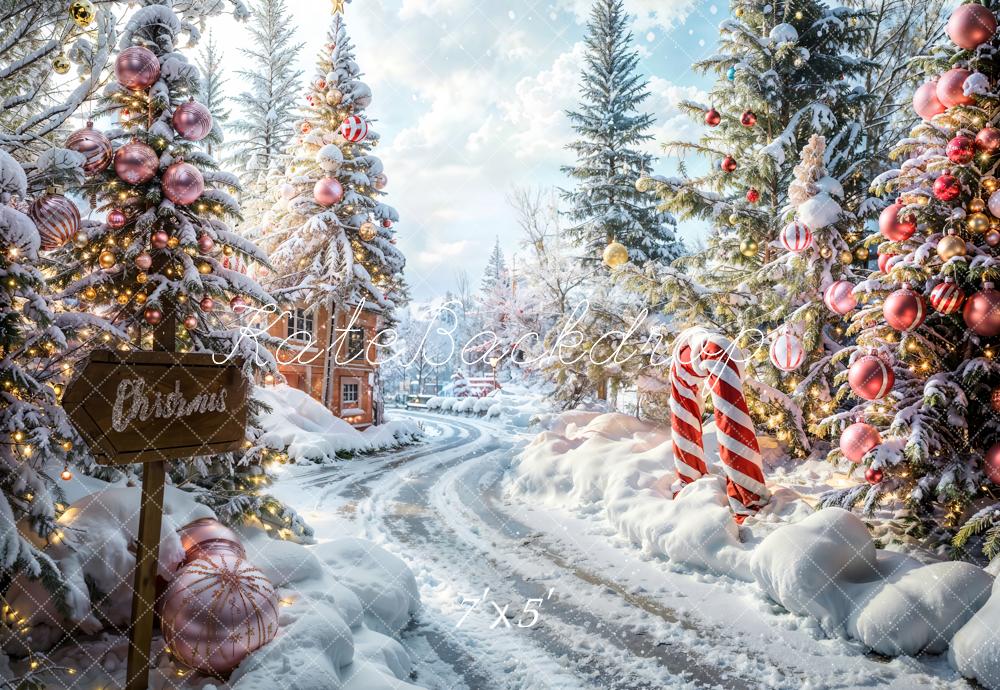 Kate Noël Extérieur Forêt Chemin Toile de fond conçue par Emetselch - Kate Backdrop FR