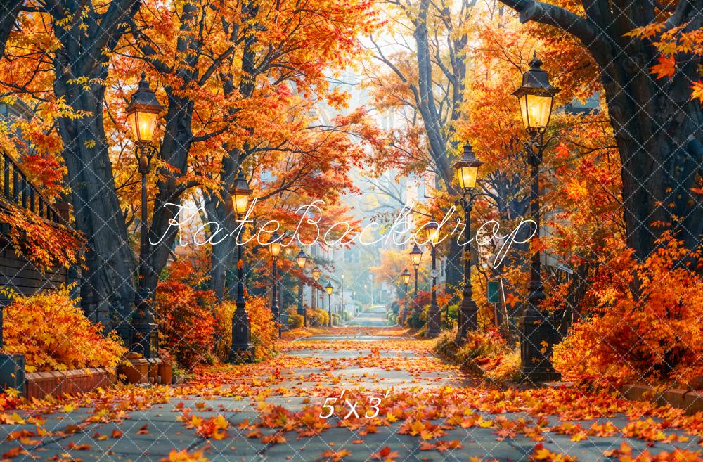 Kate Automne Forêt d'érables Chemin Toile de fond conçue par Emetselch - Kate Backdrop FR