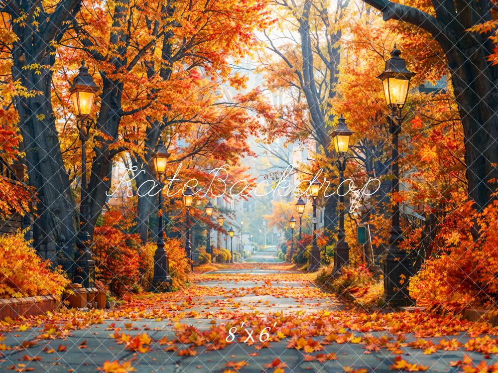 Kate Automne Forêt d'érables Chemin Toile de fond conçue par Emetselch - Kate Backdrop FR