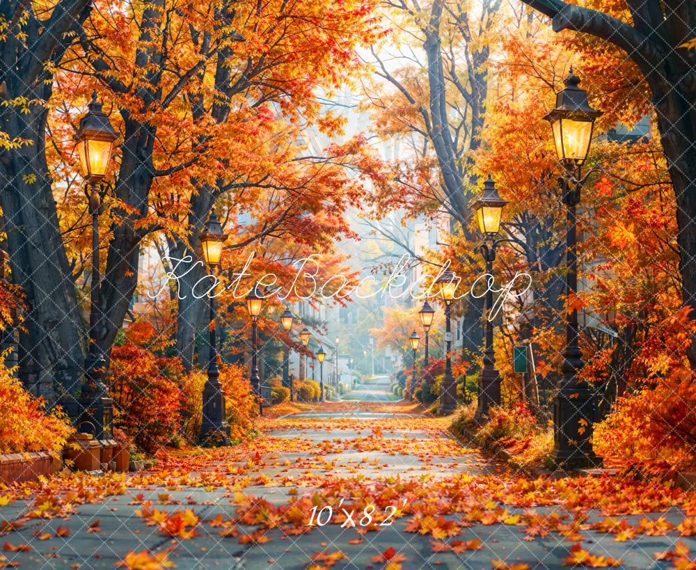 Kate Automne Forêt d'érables Chemin Toile de fond conçue par Emetselch - Kate Backdrop FR