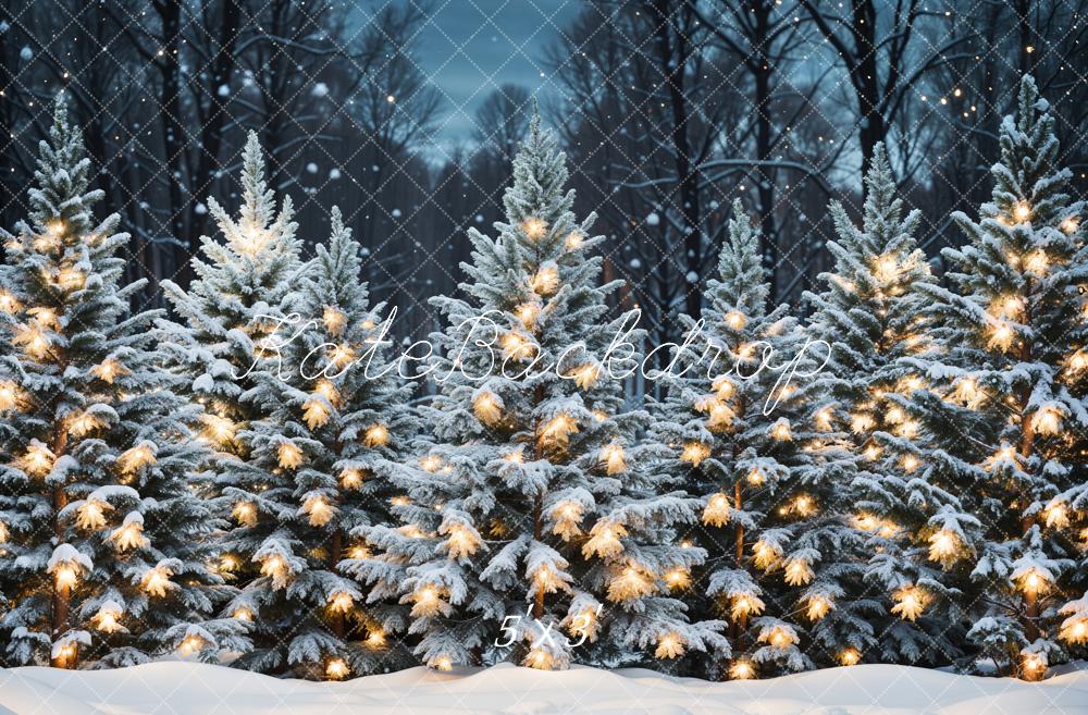 Kate Noël Extérieur Neige Forêt Lumières Toile de fond conçue par Emetselch - Kate Backdrop FR