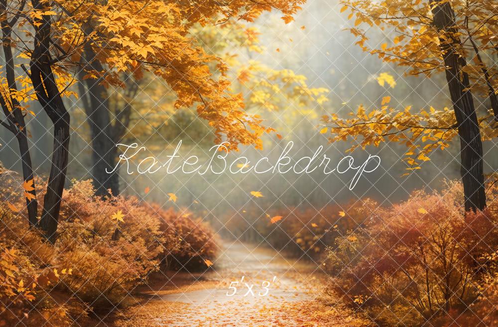 Kate Automne Érable Forêt Sentier Toile de fond conçue par Chain Photographie - Kate Backdrop FR
