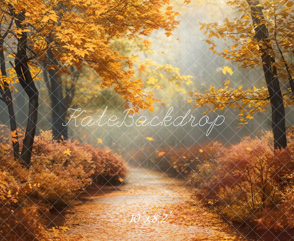 Kate Automne Érable Forêt Sentier Toile de fond conçue par Chain Photographie - Kate Backdrop FR