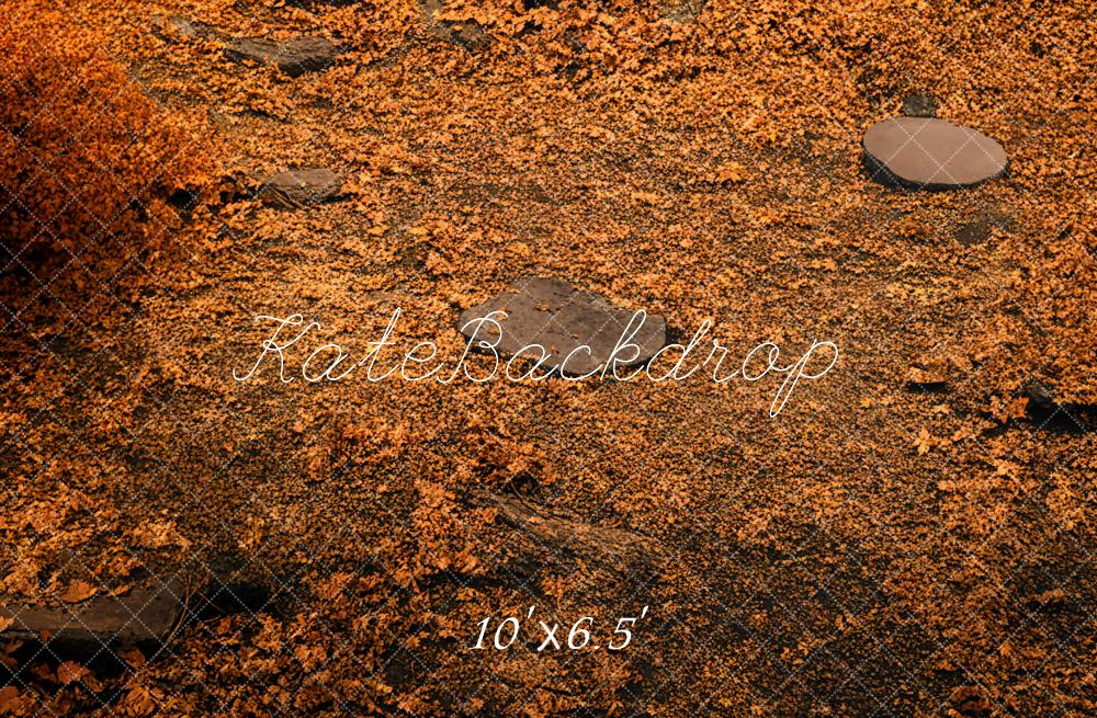 Kate Automne Forêt Orange Sol Toile de fond conçue par Kate Image - Kate Backdrop FR