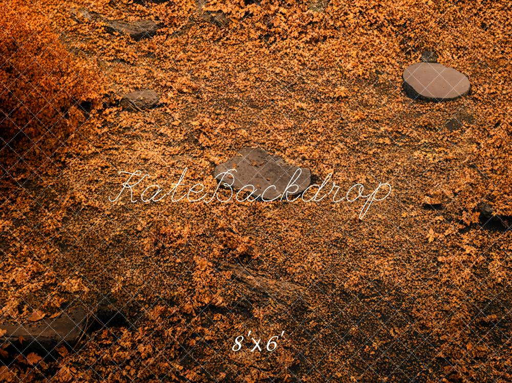 Kate Automne Forêt Orange Sol Toile de fond conçue par Kate Image - Kate Backdrop FR