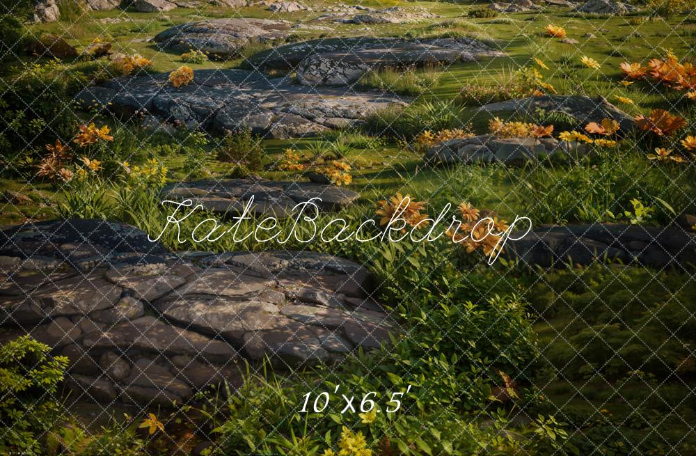 Kate Vert Herbe Pierres Sol Toile de fond conçue par Kate Image - Kate Backdrop FR