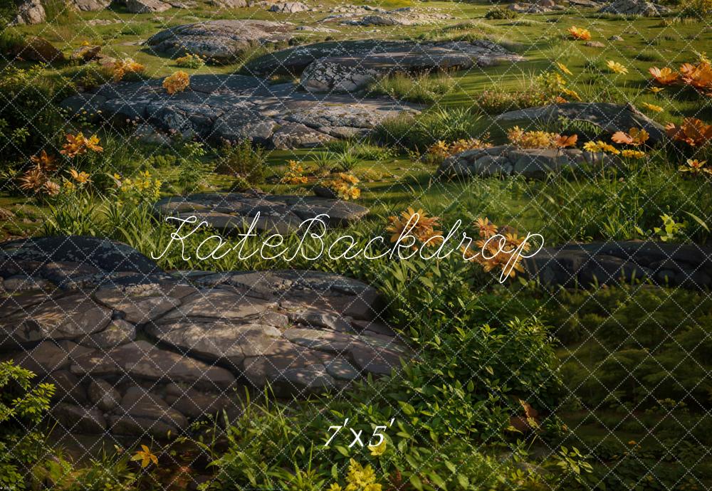 Kate Vert Herbe Pierres Sol Toile de fond conçue par Kate Image - Kate Backdrop FR