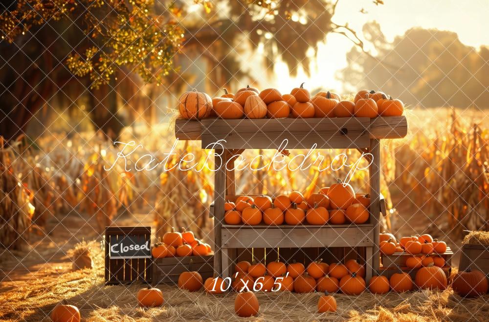 Kate Rustique Stand de citrouilles Récolte Champ Toile de fond conçue par Patty Robert - Kate Backdrop FR