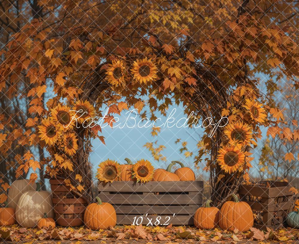 Kate Automne Tournesol Arche Feuilles d'érable Toile de fond conçue par Emetselch - Kate Backdrop FR