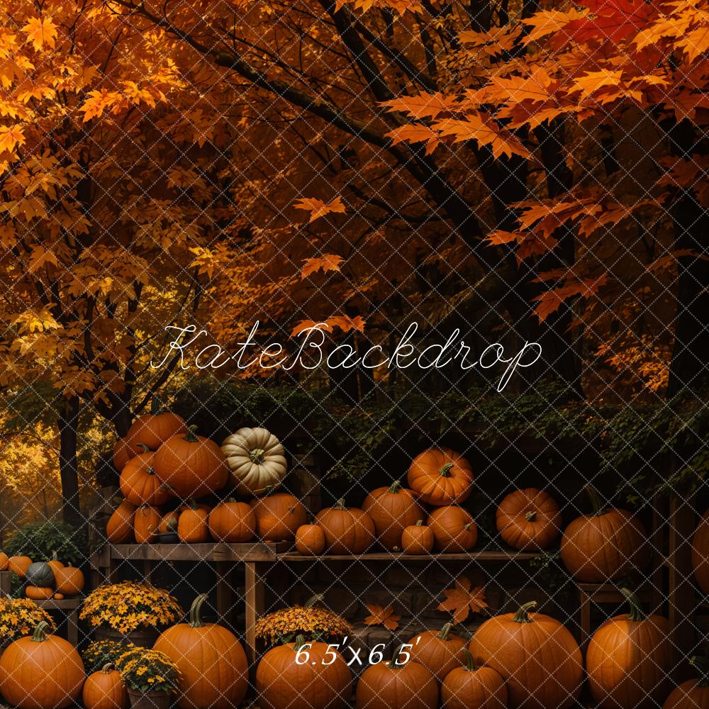 Kate Automne Étagère de citrouille Érable Toile de fond conçue par Emetselch - Kate Backdrop FR
