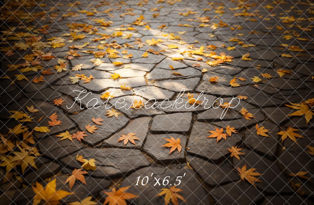 Kate Automne Feuilles Chemin de pierre Sol Toile de fond conçue par Emetselch - Kate Backdrop FR