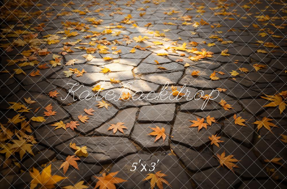 Kate Automne Feuilles Chemin de pierre Sol Toile de fond conçue par Emetselch - Kate Backdrop FR