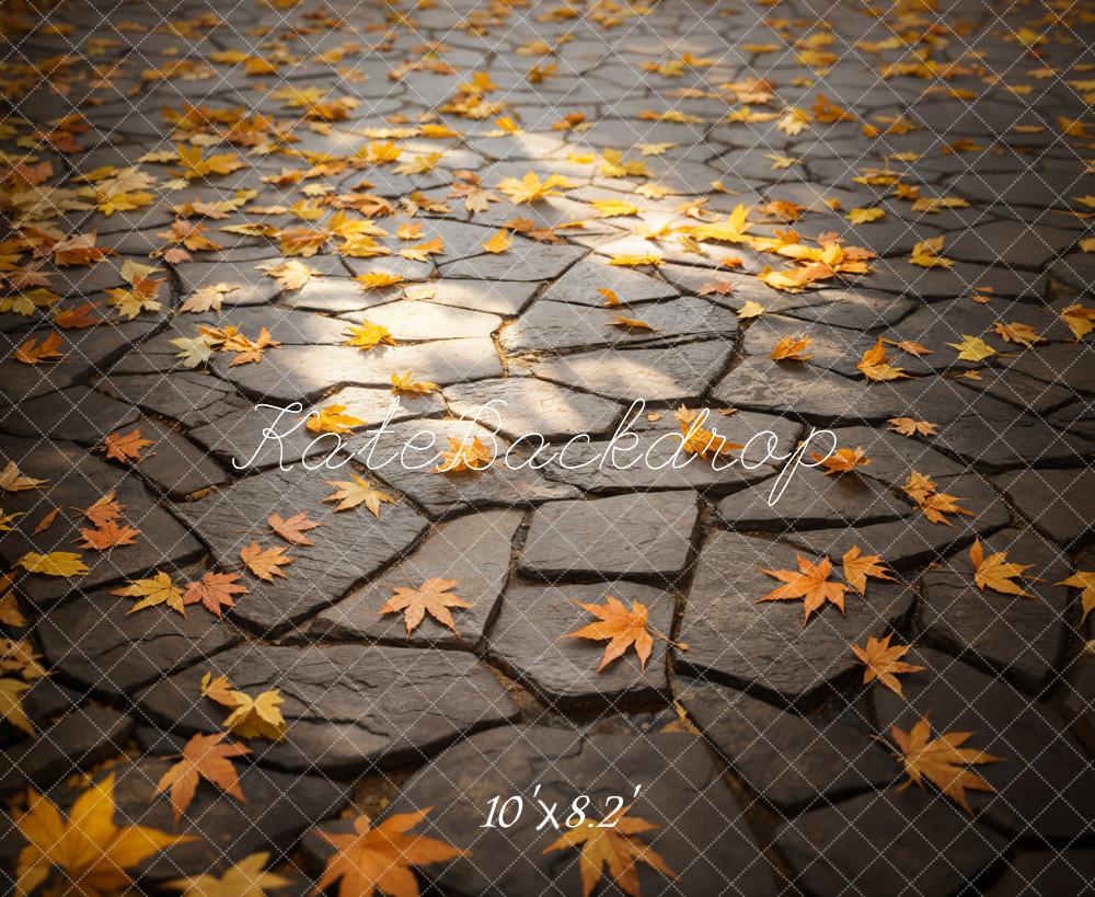 Kate Automne Feuilles Chemin de pierre Sol Toile de fond conçue par Emetselch - Kate Backdrop FR