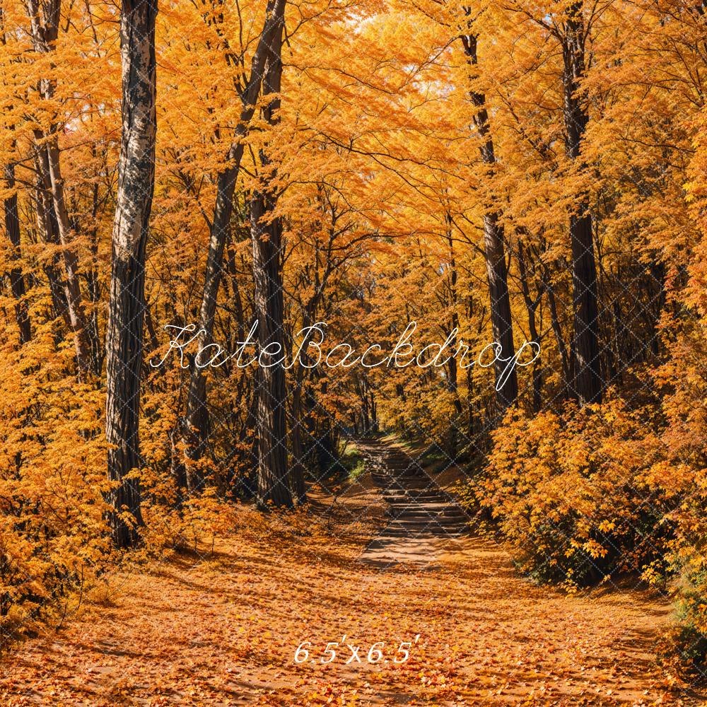 Kate Automne Forêt Chemin Jaune Toile de fond conçue par Emetselch - Kate Backdrop FR
