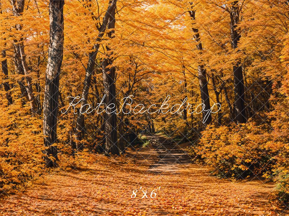 Kate Automne Forêt Chemin Jaune Toile de fond conçue par Emetselch - Kate Backdrop FR