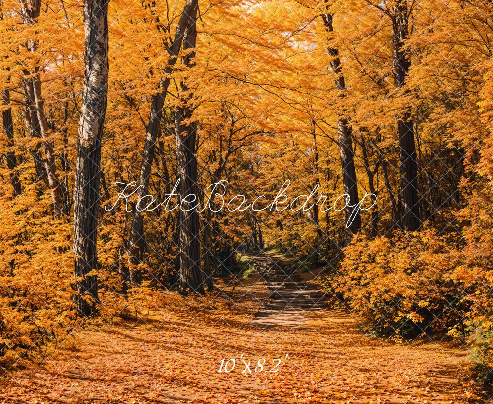 Kate Automne Forêt Chemin Jaune Toile de fond conçue par Emetselch - Kate Backdrop FR
