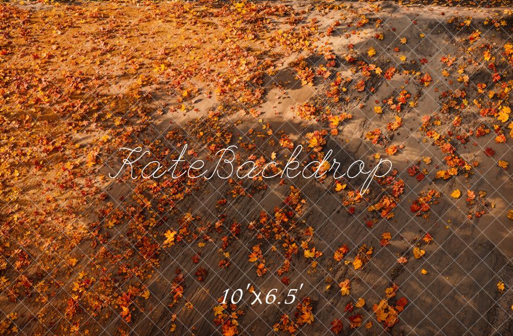 Kate Automne Feuilles Sol Toile de fond conçue par Emetselch - Kate Backdrop FR
